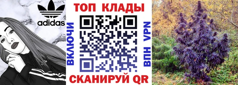 Какие есть наркотики Снежногорск Бошки Шишки  hydra как войти  Гашиш  Cocaine 