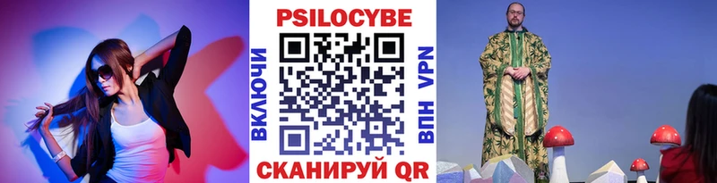 где купить   Снежногорск  Псилоцибиновые грибы MAGIC MUSHROOMS 