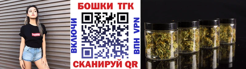 Канабис SATIVA & INDICA  закладка  Снежногорск 