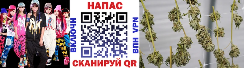 Шишки марихуана White Widow Снежногорск